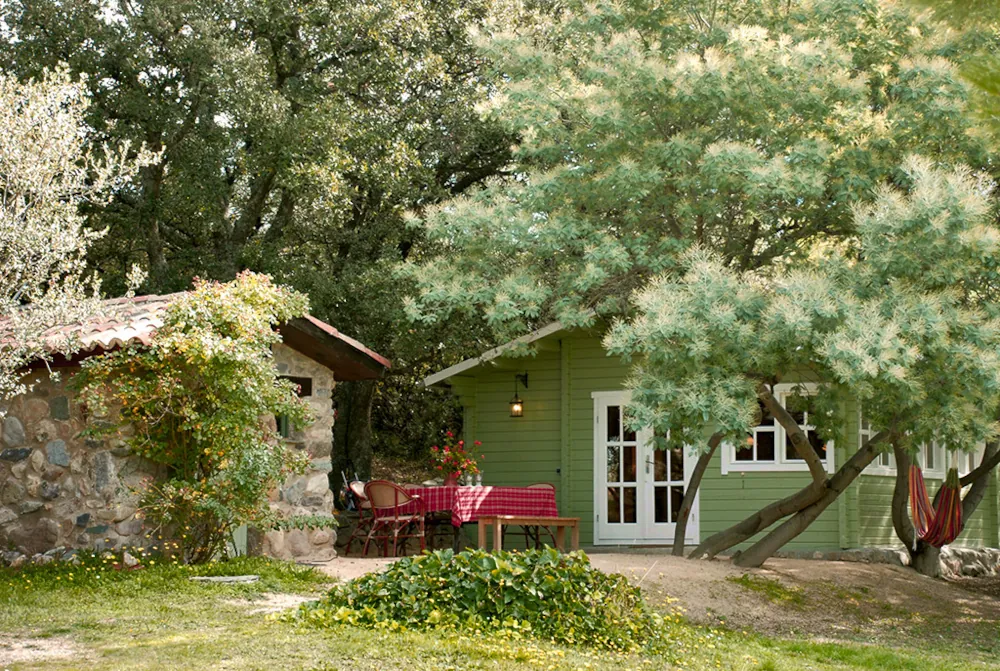 Chalet Mimosa – Ferienwohnung im Garten mit blühenden Mimosenbäumen