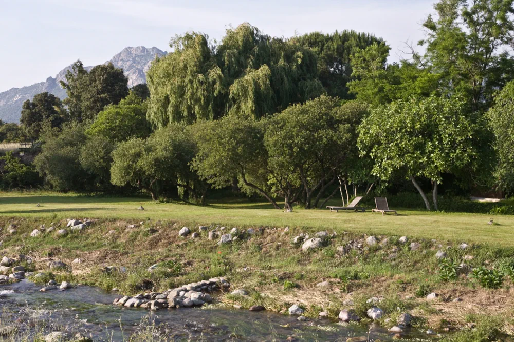 Große Wiese am Ufer des Fiume-Secco nahe der alten Olivenmühle, Korsika