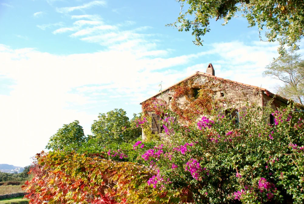 Restaurierte Olivenmühle in der Balagne mit blühenden Gärten und typischer korsischer Architektur